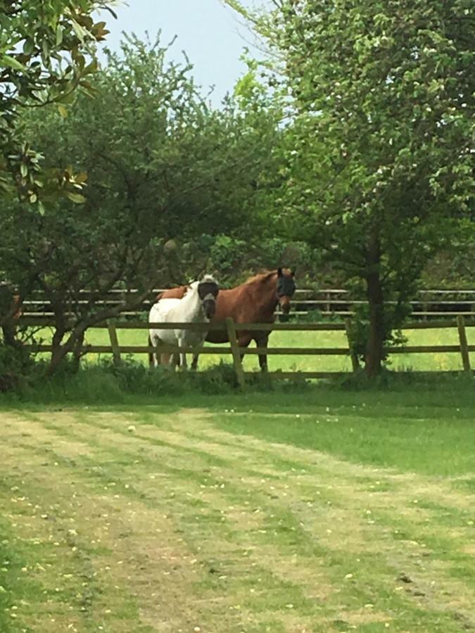 Little Banks Barn Ringwood